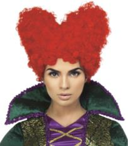 BOSSY SALEM SISTER WITCH WIG