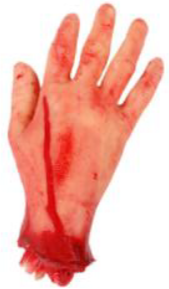 SMALL SEVERED HAND