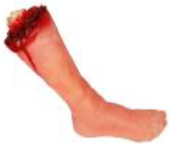 MID-CALF SEVERED LEG