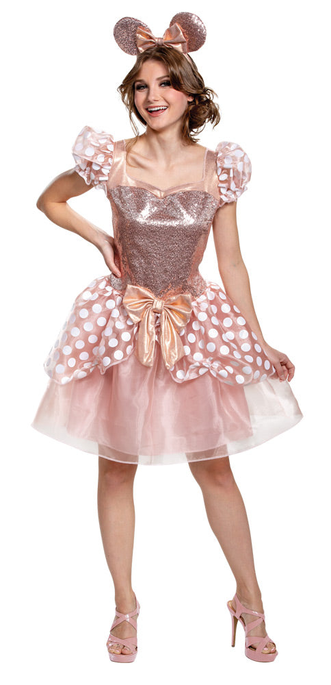 Disguise Minnie Mouse Rose DG103099E