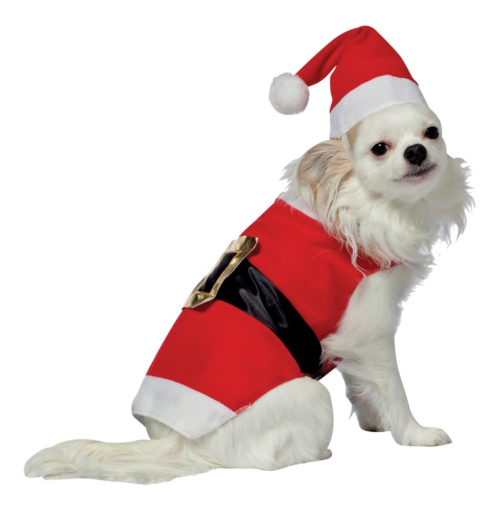 Santa Pet Costume - Small