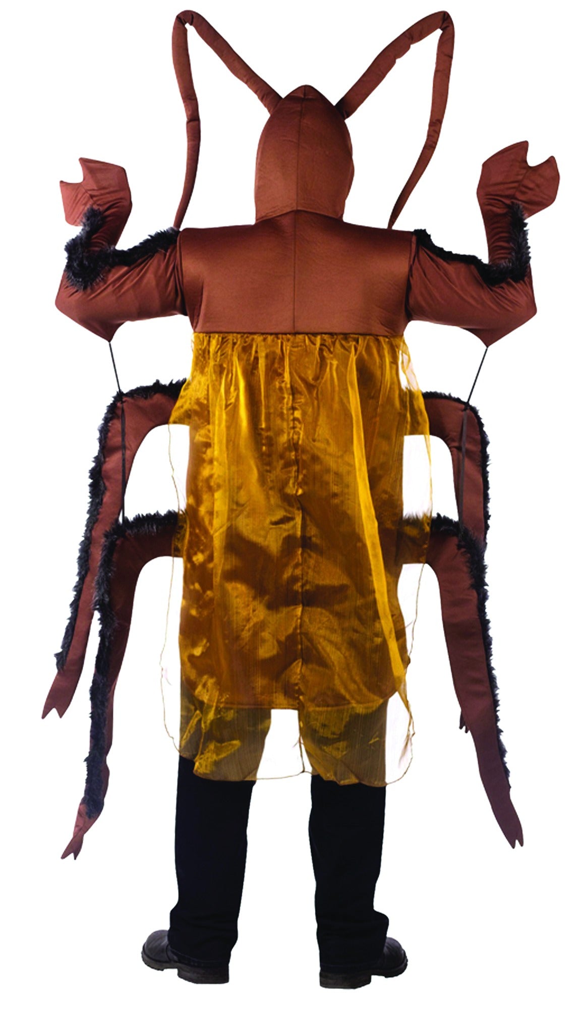 Cockroach