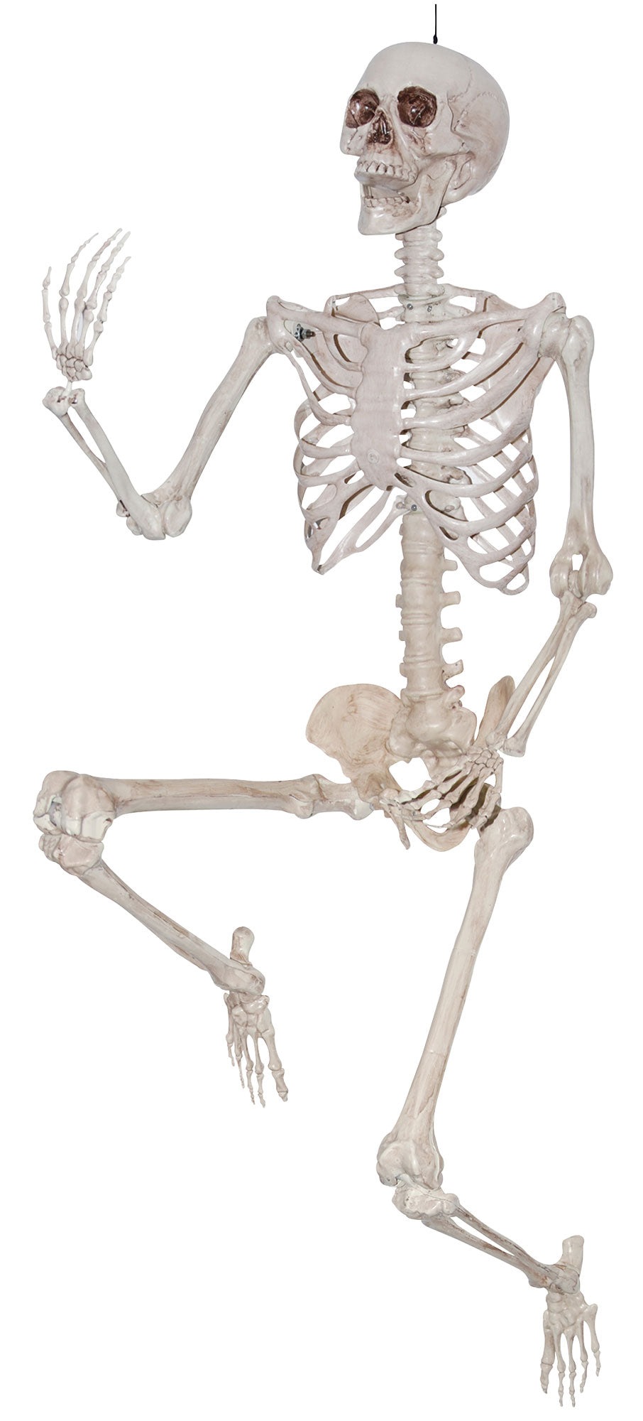 Skeleton Prop