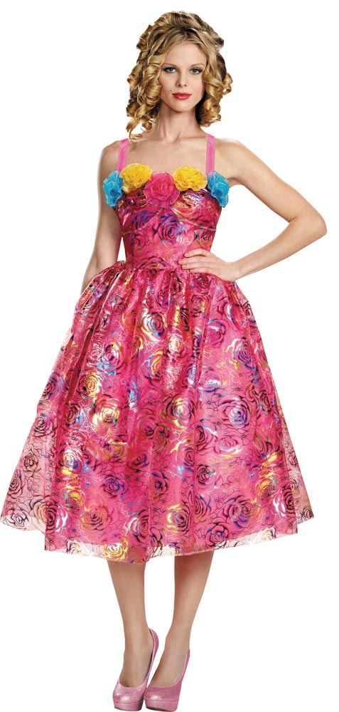 Disguise Cinderella Anastas DG87027B