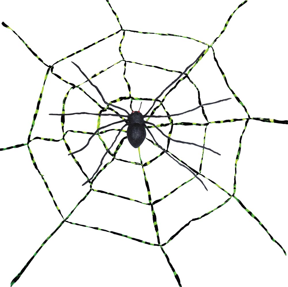 Spiderweb with Spiders