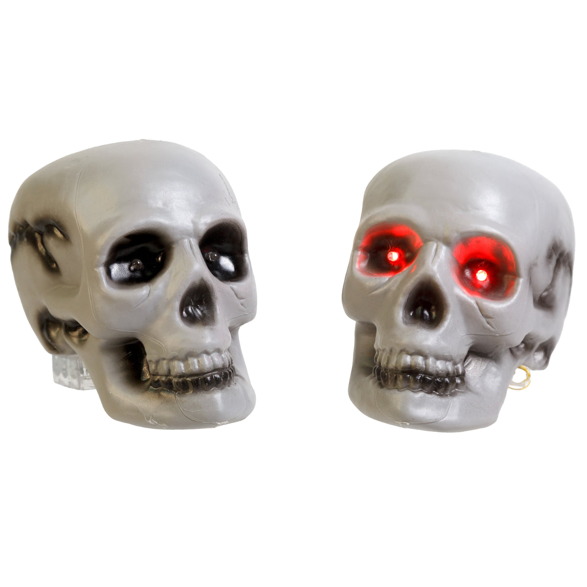 Skull Head Assortmen