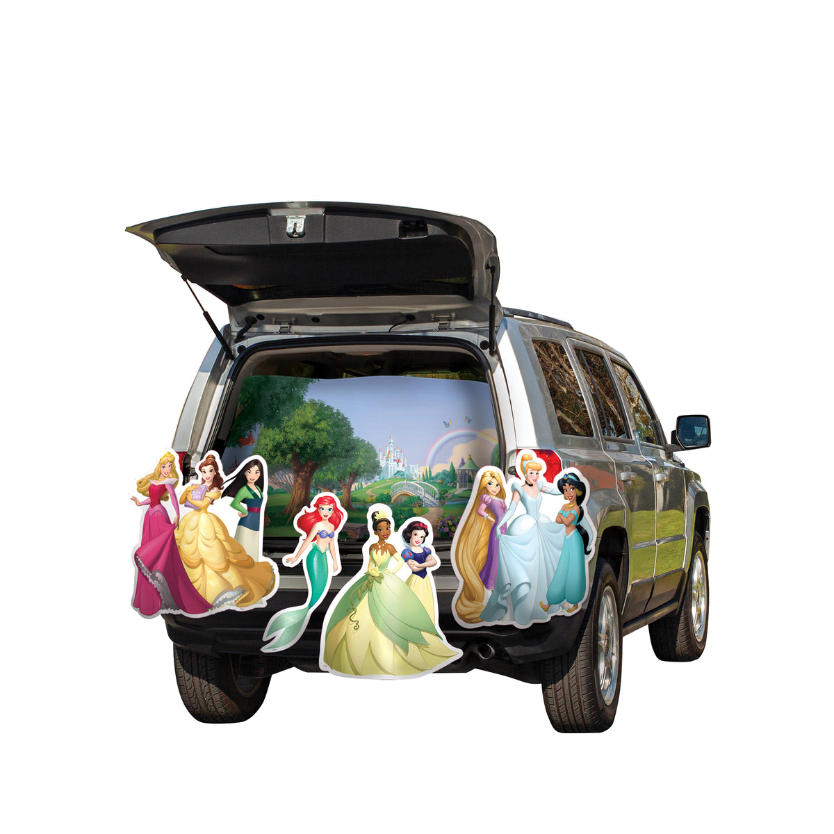 DISNEY PRINCESS TO