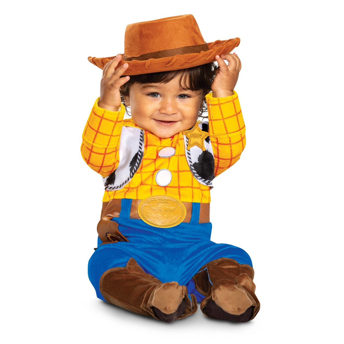 Woody Toy Story Dlx
