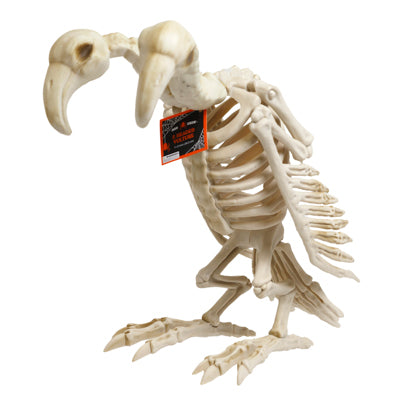 Vulture Two Headed S