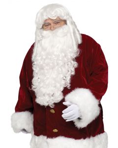 Fun World 7528 Professional Santa Wig & Beard Set