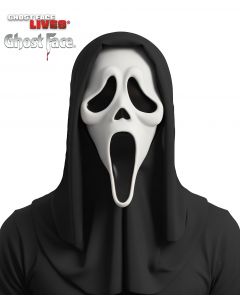 Fun World 9206S Ghost Face® Mask w/ Shroud