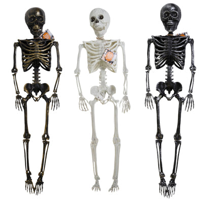 Skeleton 36In
