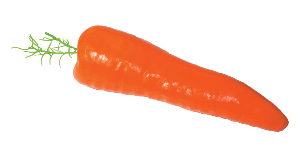 Rubie's Carrot FM25214