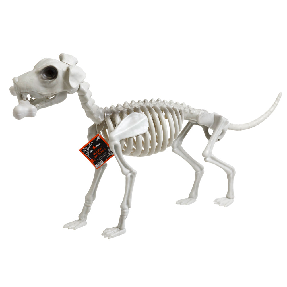 Dog Skeleton