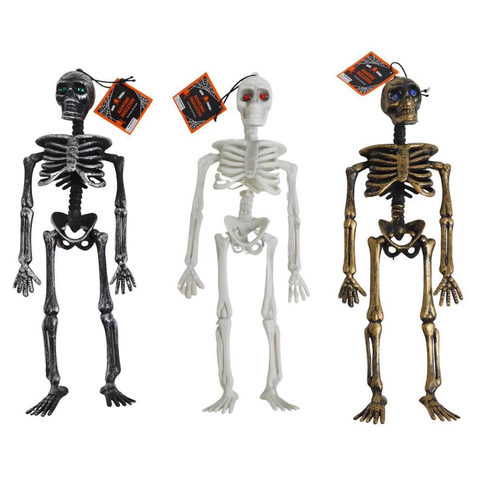 Skeleton In Assortme