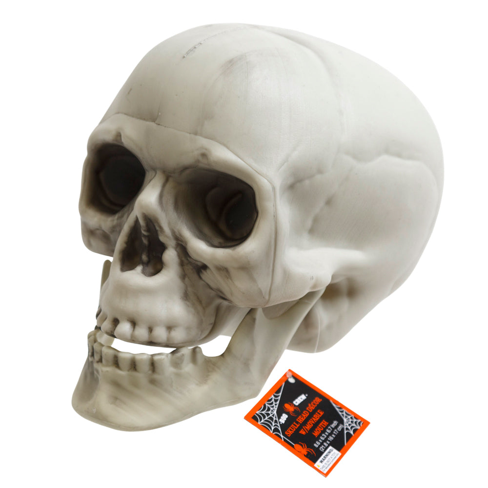 Halloween Skull Asso