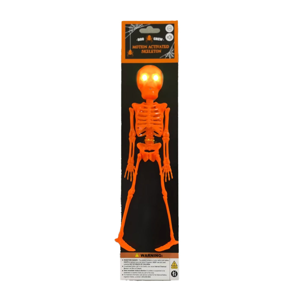 Skeleton Light and S
