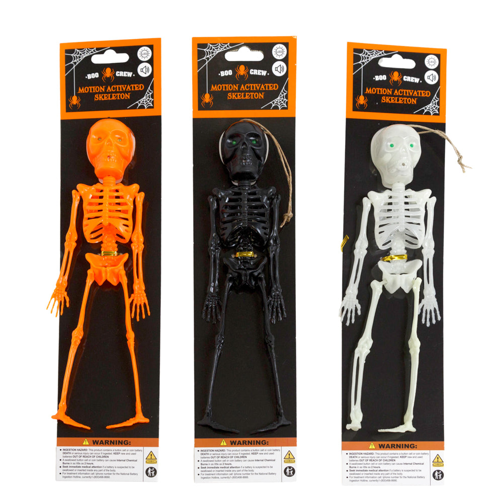 Skeleton Light and S