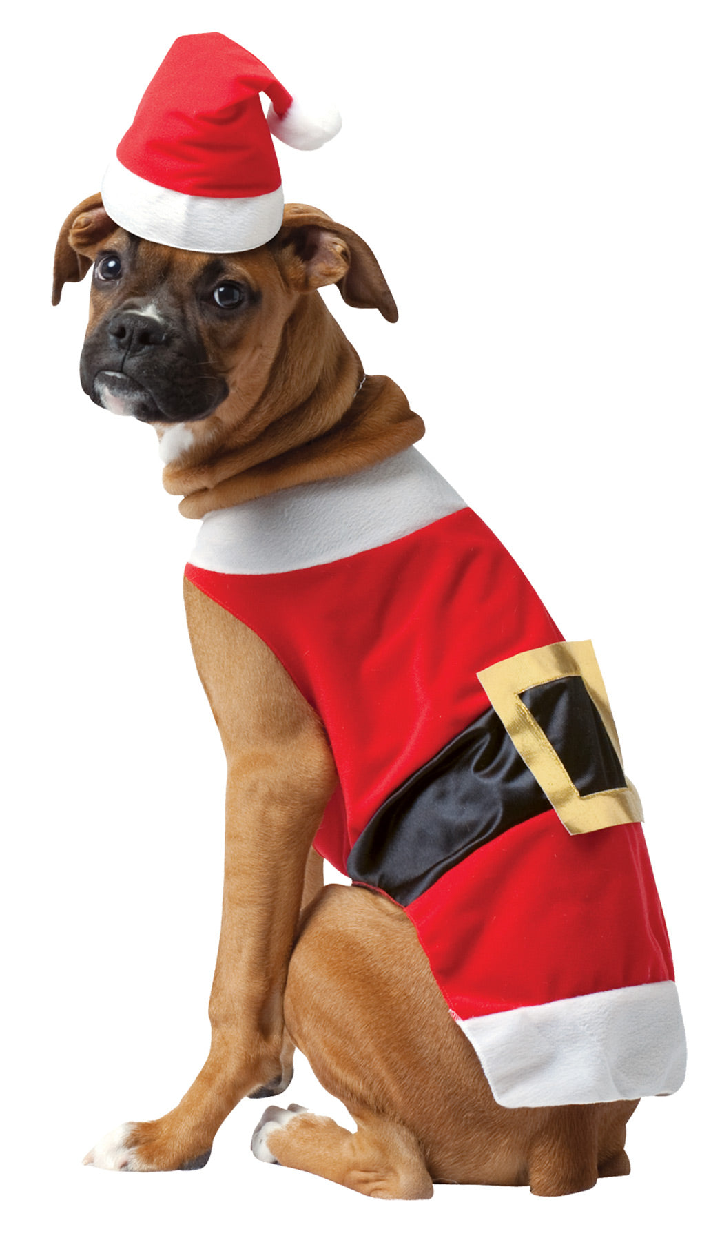 Santa Pet Costume - X-Large
