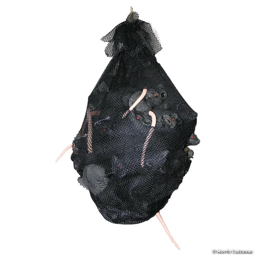 Bag of Rats