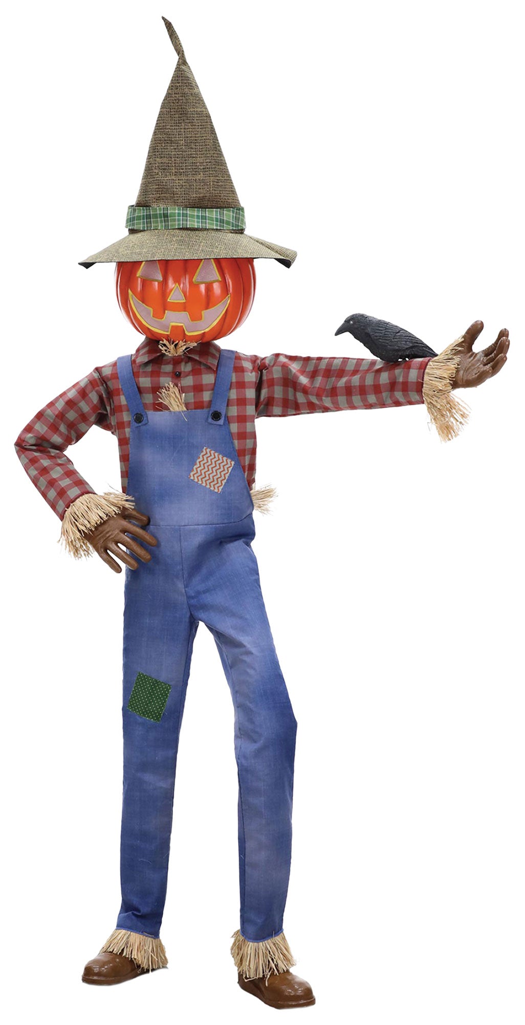 Whimsical Scarecrow