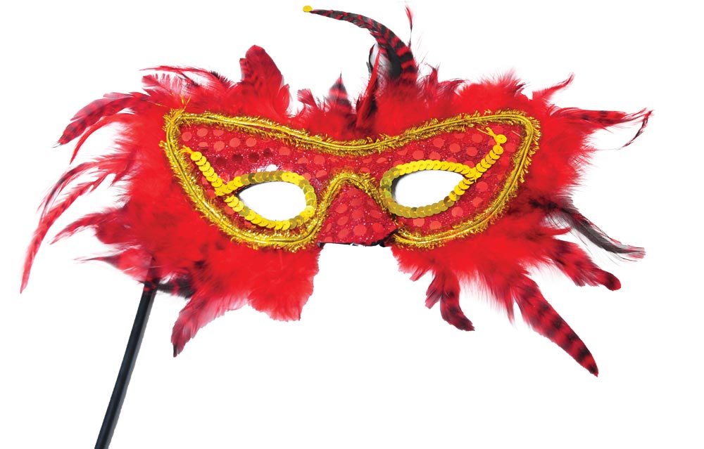 Feather Mask on Stick