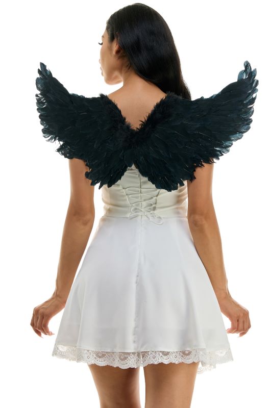 Black Feather Wings