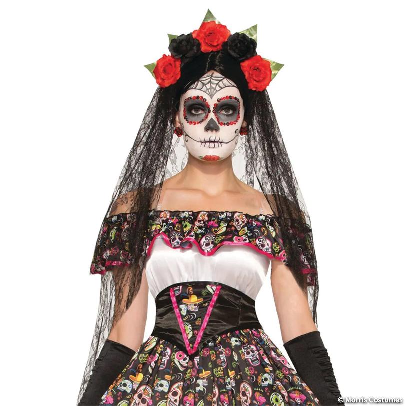 Veil DOTD