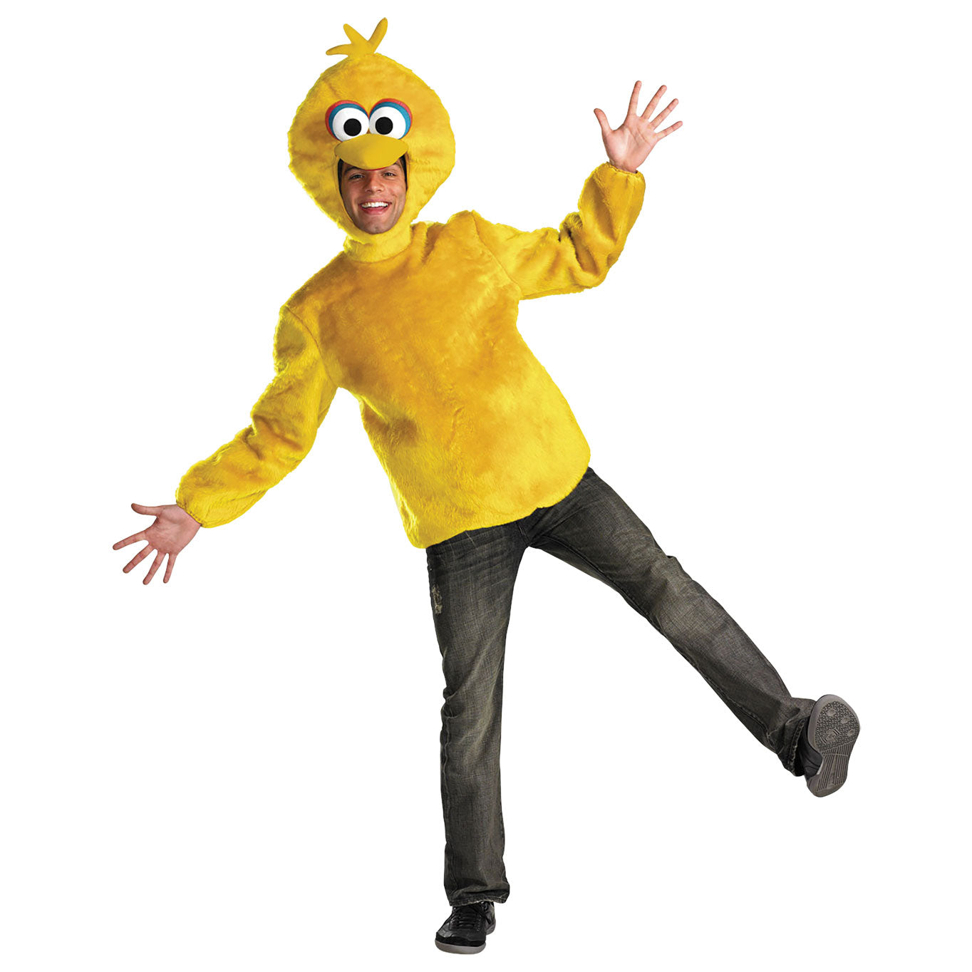Disguise Big Bird DG50631D