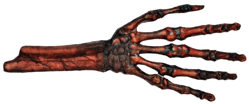 z-Hand Rotted Flsh