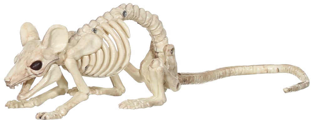 Mouse Skeleton Crawler