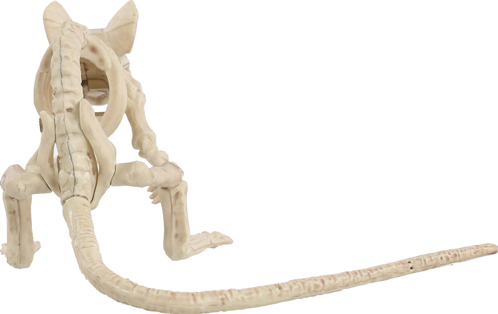 Crouching Mouse Creature - back