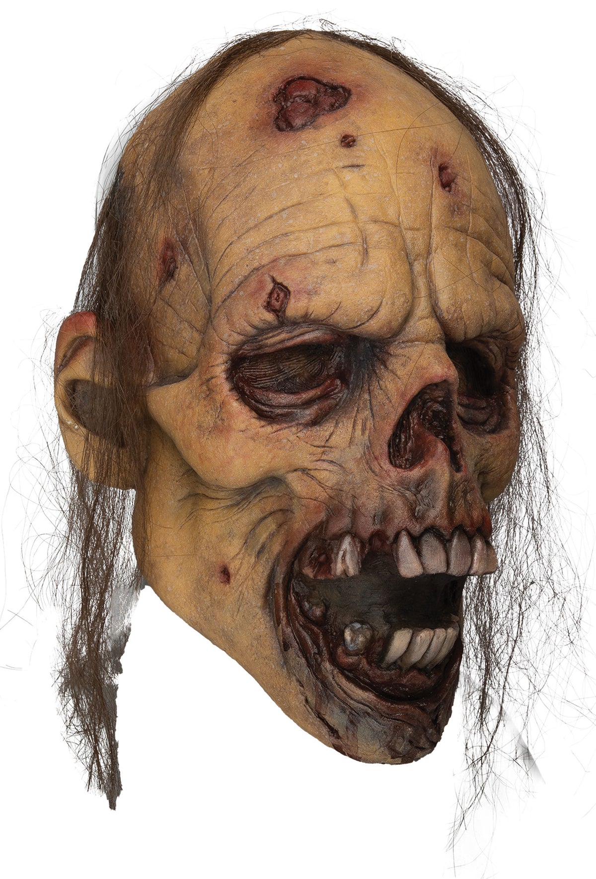 Carnivore Full Face