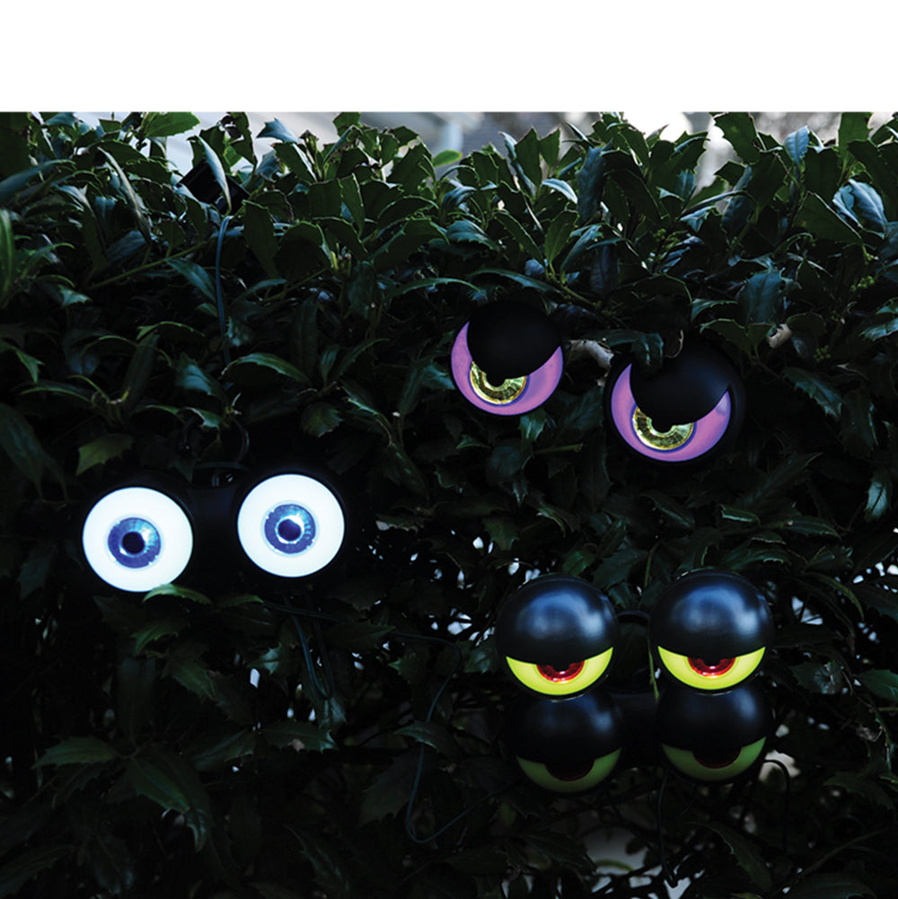 z-Peep N Peepers