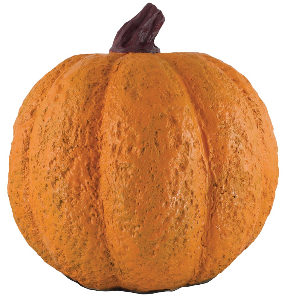 z-Misting Pumpkin - back