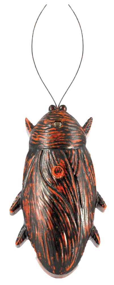 Cockroach Screamer