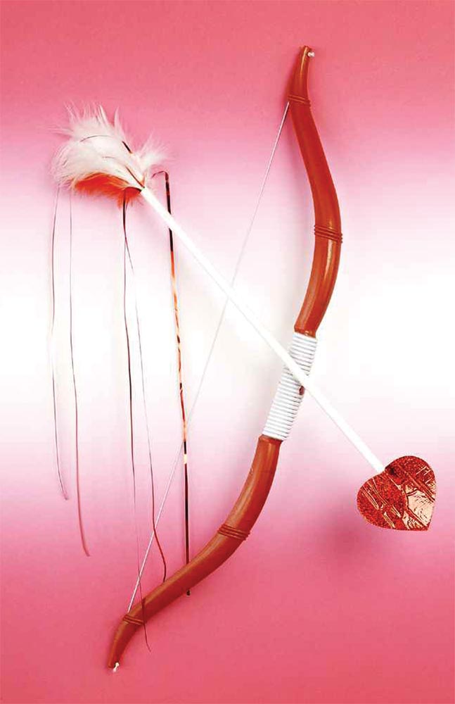 Rubie's Cupid Bow Arrow FM58698