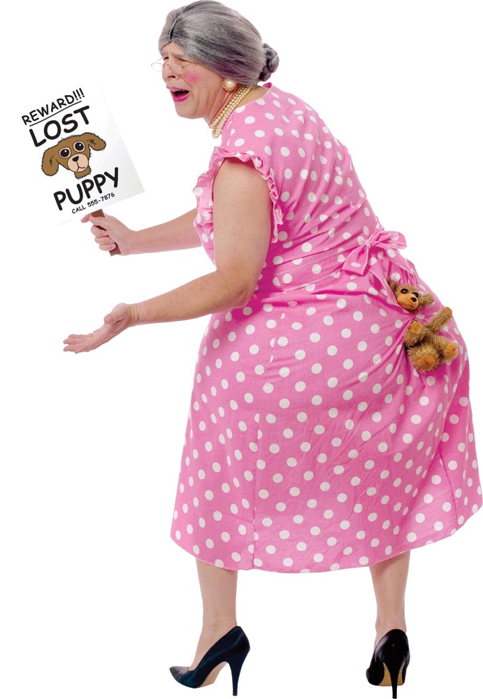 Fun World Lost Puppy FW118234STD