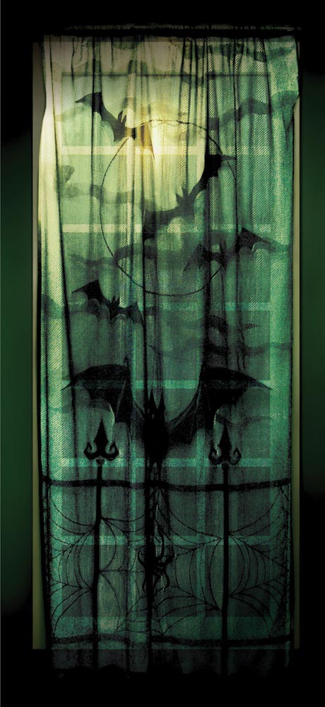 Lace Window Panel