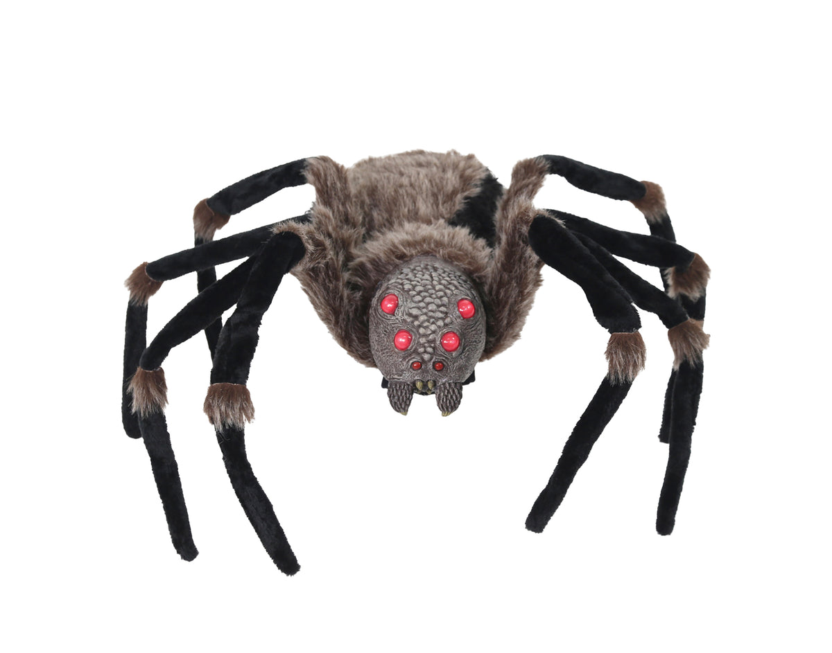 Spider Prop