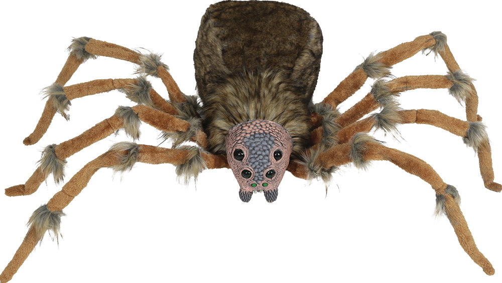 Spider Wolf