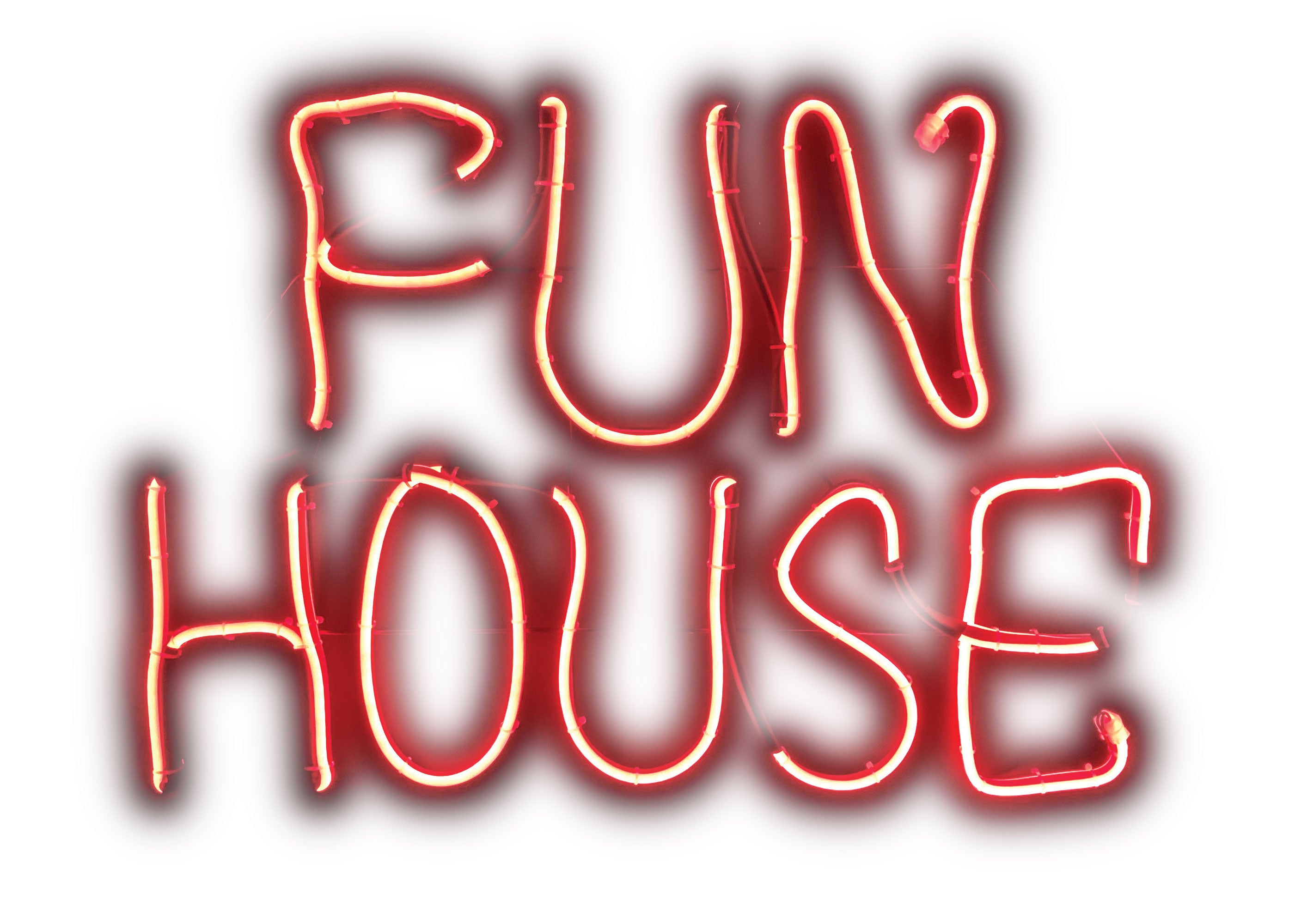 Fun House Projector
